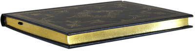 OBSIDIAN JOURNAL