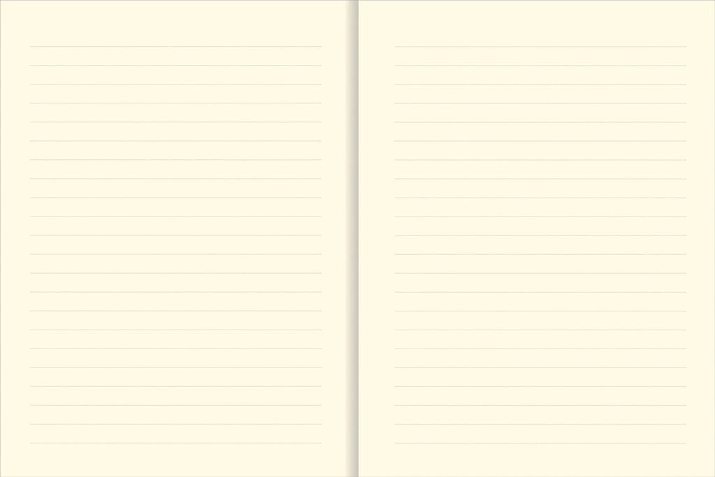 THE UNIVERSE JOURNAL