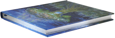 HEART OF THE TREE JOURNAL