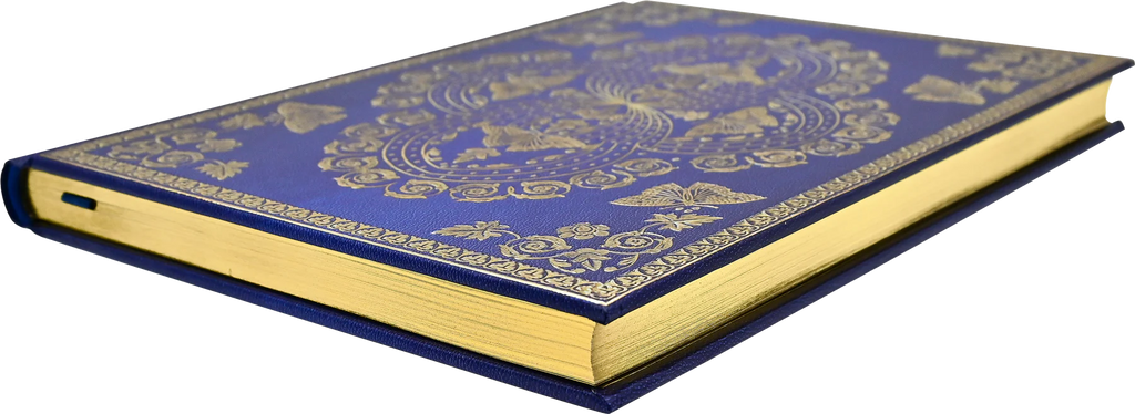 GILDED BUTTERFLIES JOURNAL