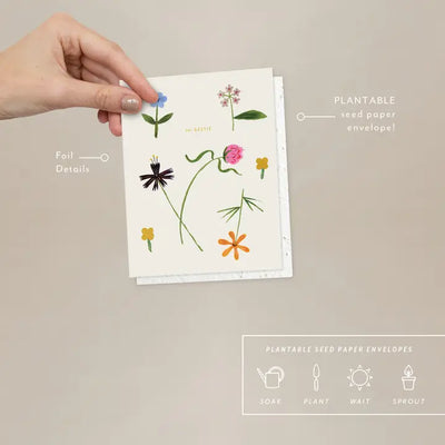 Plantable Card - Quirky Petals - Just To Say Hi Card