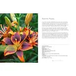 LILIES