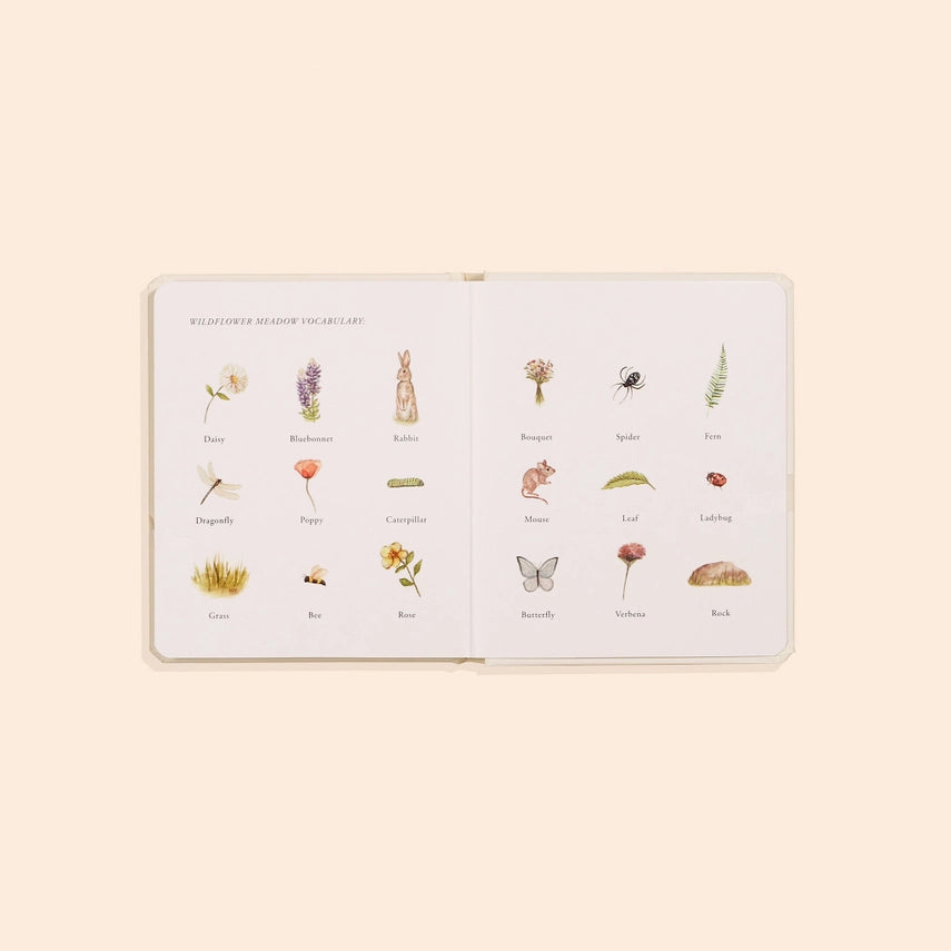 OUR LITTLE ADVENTURES BOX SET FOR KIDS