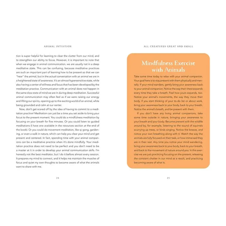 ANIMAL INTUITION: COMMUNICATION WITH PETS, SPIRITS & ENERGY