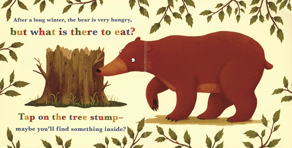 A Year in the Forest with Bear