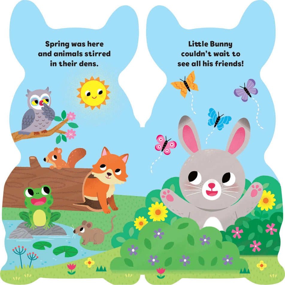 Maggie Fischer Board Books