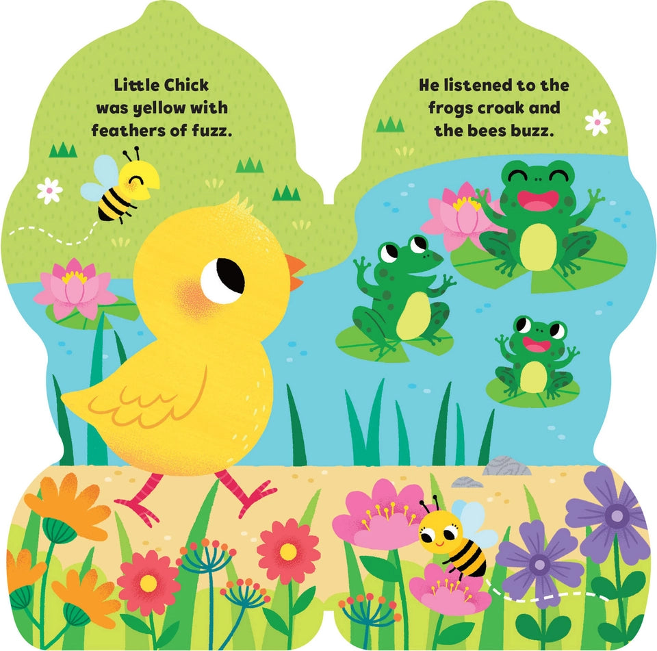 Maggie Fischer Board Books