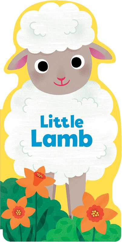 Maggie Fischer Board Books