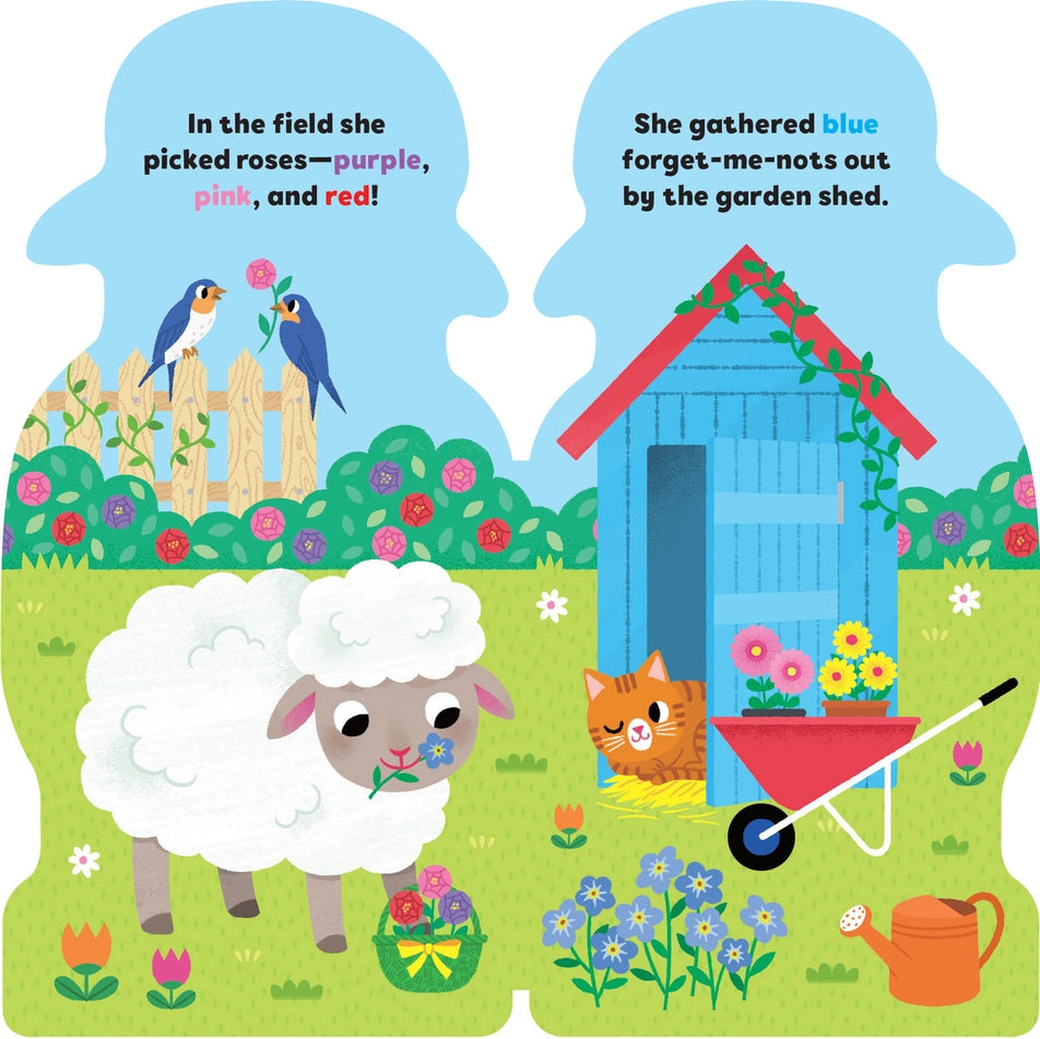 Maggie Fischer Board Books