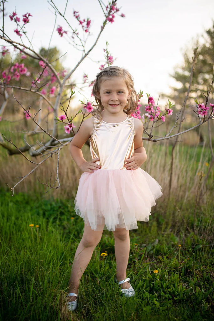 BALLET TUTU DRESS, ROSE GOLD, 3-4