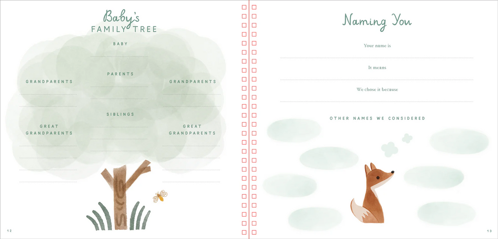 BABY'S FIRST YEARS-A MODERN MEMORY BOOK WITH KEEPSAKE BOX