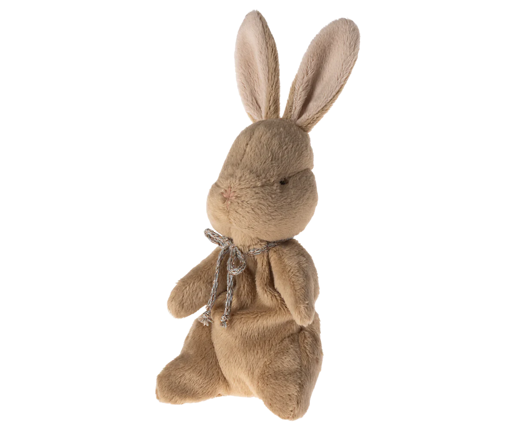 My First Bunny