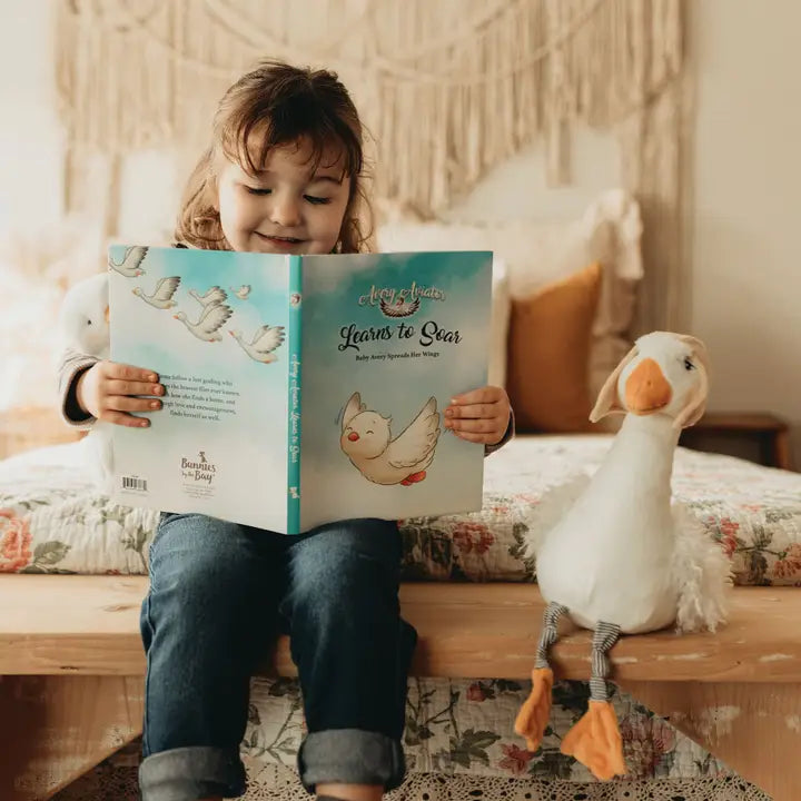 Avery Aviator Learns To Soar Story Book