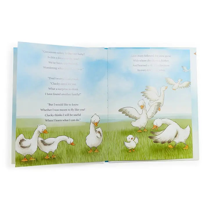 Avery Aviator Learns To Soar Story Book