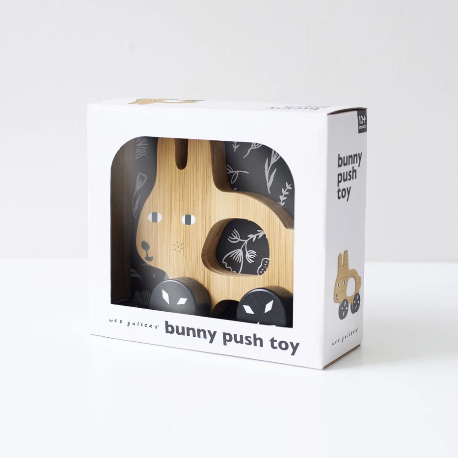 PUSH TOY - BUNNY