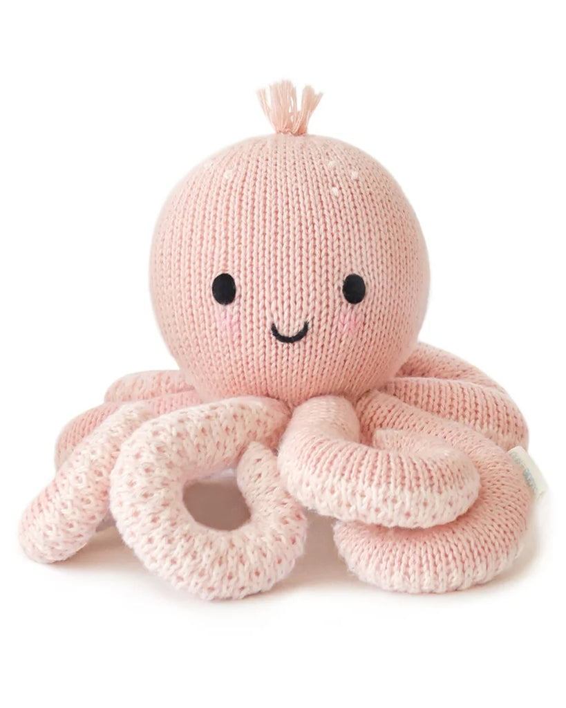 Baby Octopus