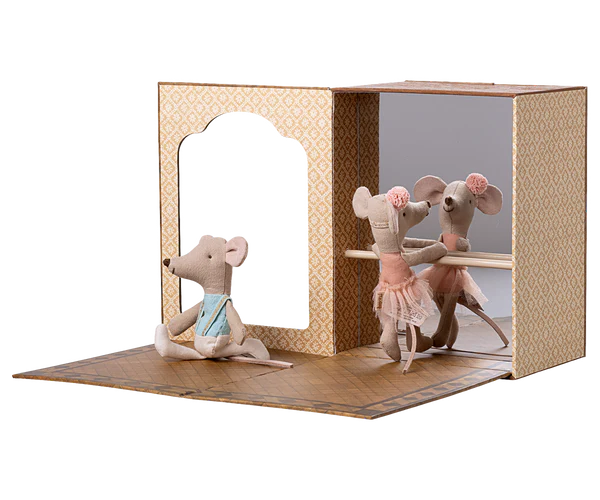 Ballet Mice In Dance Studio, Little Sister And Brother