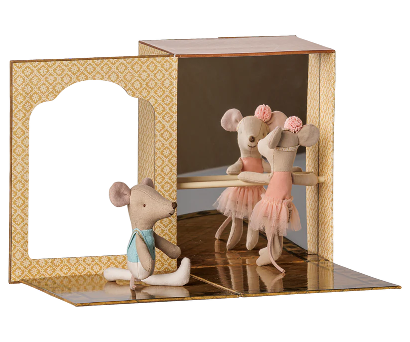 Ballet Mice In Dance Studio, Little Sister And Brother