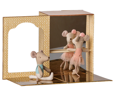 Ballet Mice In Dance Studio, Little Sister And Brother