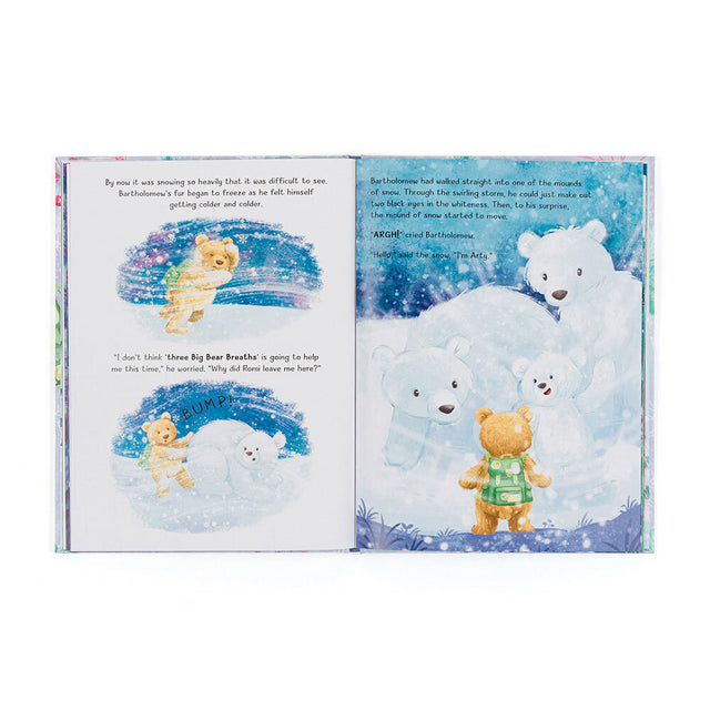 Bartholomew Bear And The Snow Giants Book