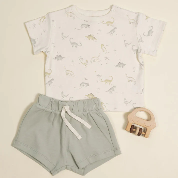 Boxy Tee Dinosaur