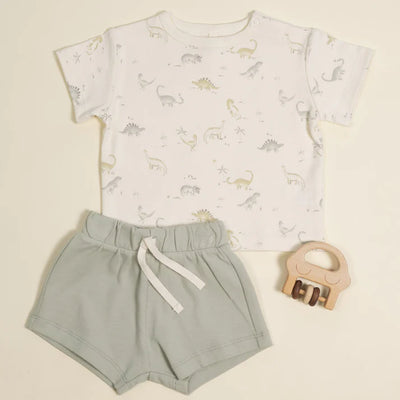 Boxy Tee Dinosaur