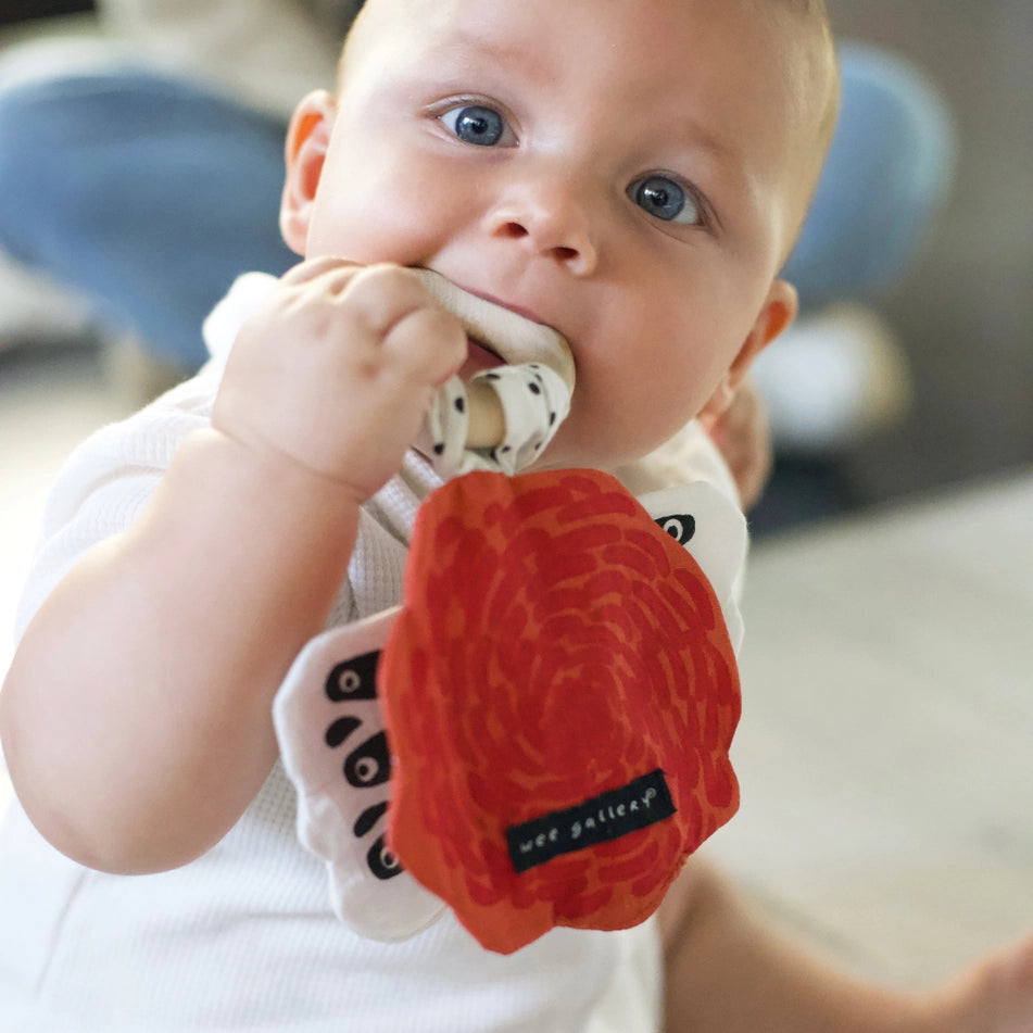 Butterfly Crinkle Ring Teether