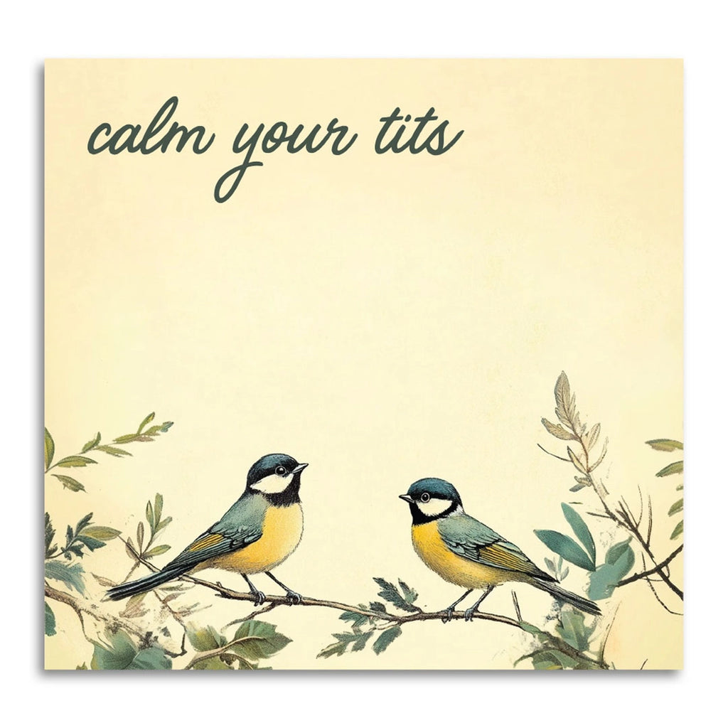Calm Your Tits - Sarcastic Sticky Note Pad