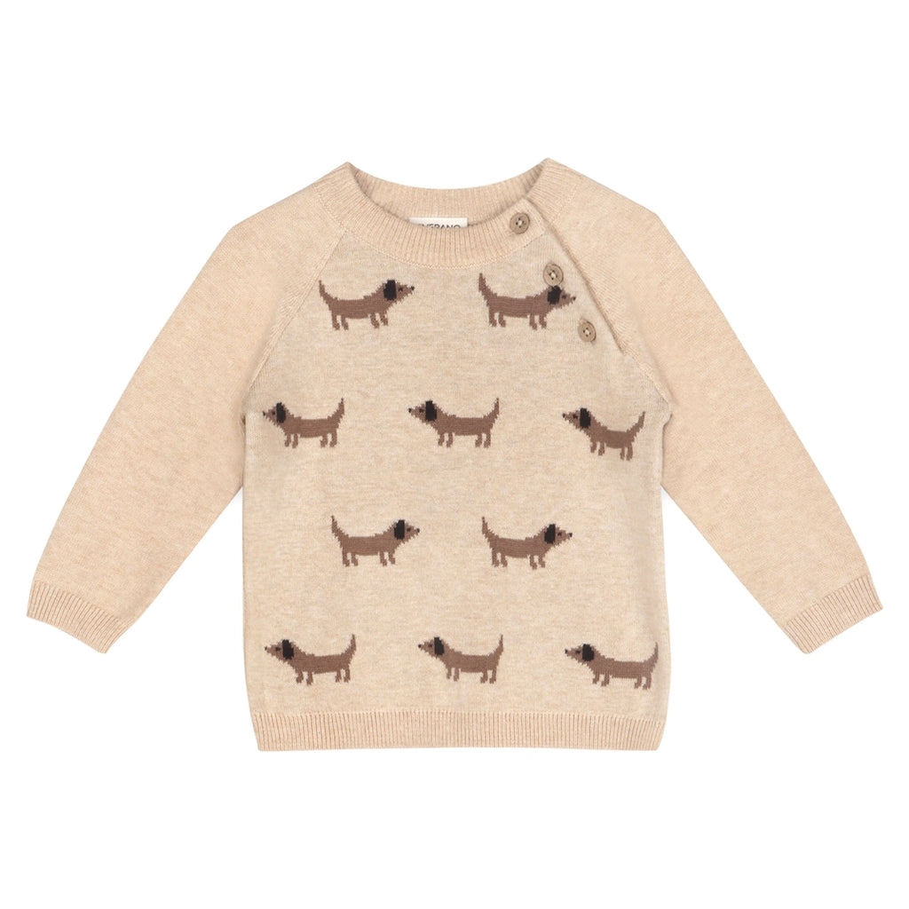Doxie Dog Jacquard Knit Baby Raglan Pullover - Organic Cotton