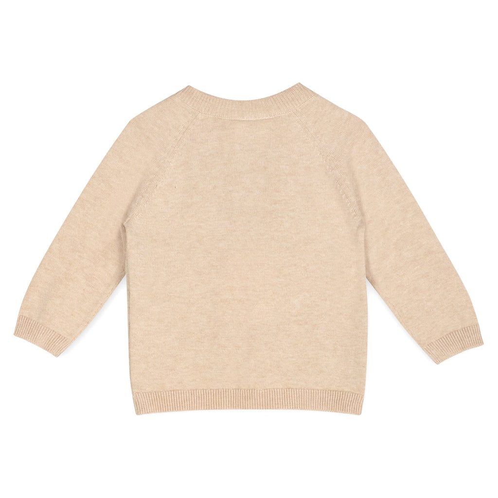 Doxie Dog Jacquard Knit Baby Raglan Pullover - Organic Cotton