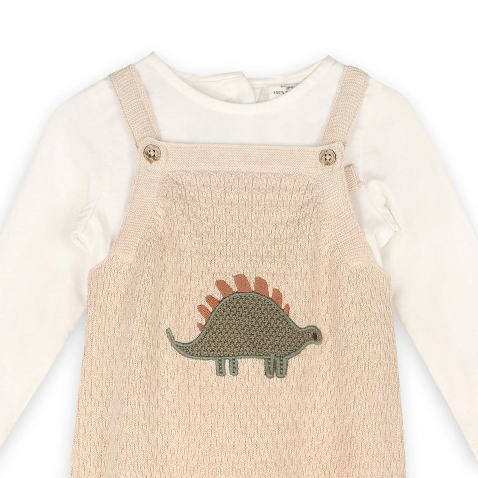 Organic Dino Embroidered Baby Knit Overall Set