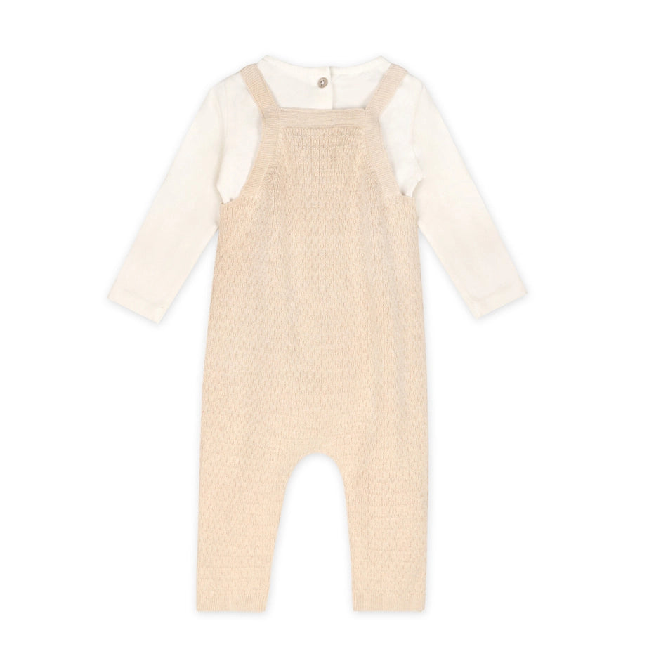 Organic Dino Embroidered Baby Knit Overall Set
