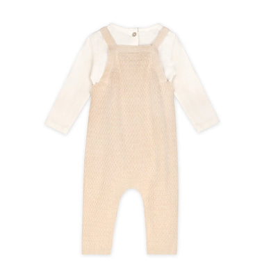 Organic Dino Embroidered Baby Knit Overall Set