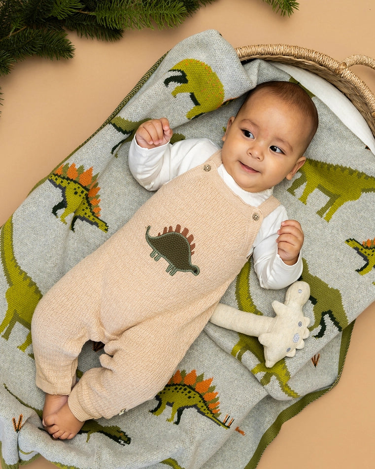 Organic Dino Embroidered Baby Knit Overall Set