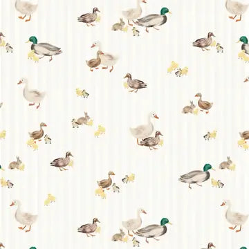 Ducks & Stripes Gift Wrap