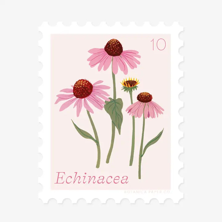Echinacea, October Flower | Stamp-Style Vinyl Sticker