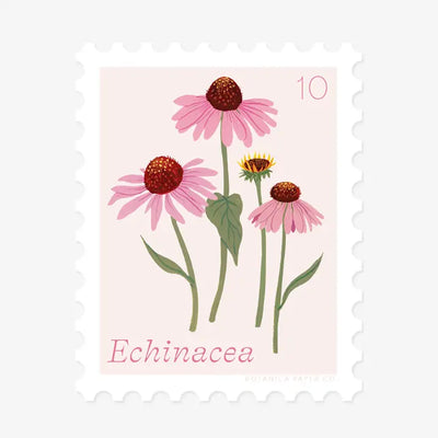 Echinacea, October Flower | Stamp-Style Vinyl Sticker