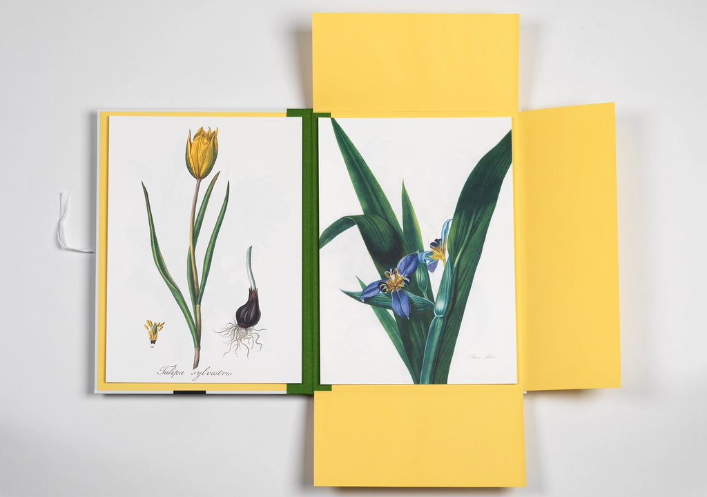 Flower Prints Art Portfolio