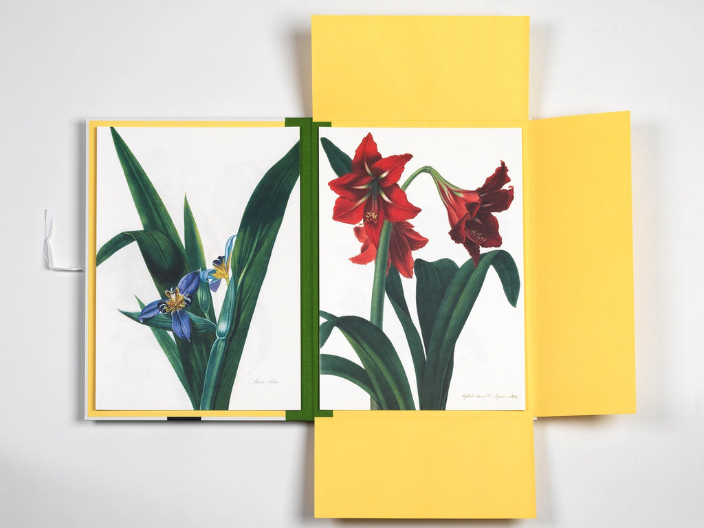 Flower Prints Art Portfolio