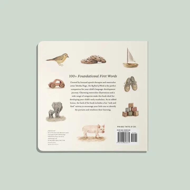 OUR BIG BOOK OF FIRST WORDS