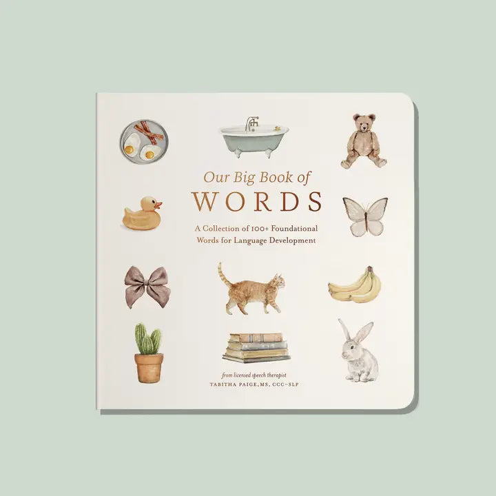 OUR BIG BOOK OF FIRST WORDS