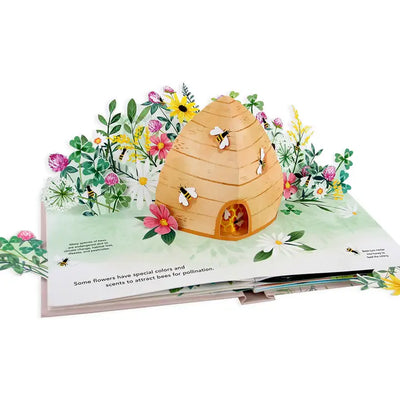 FLORA: BOTANICAL POP-UP BOOK