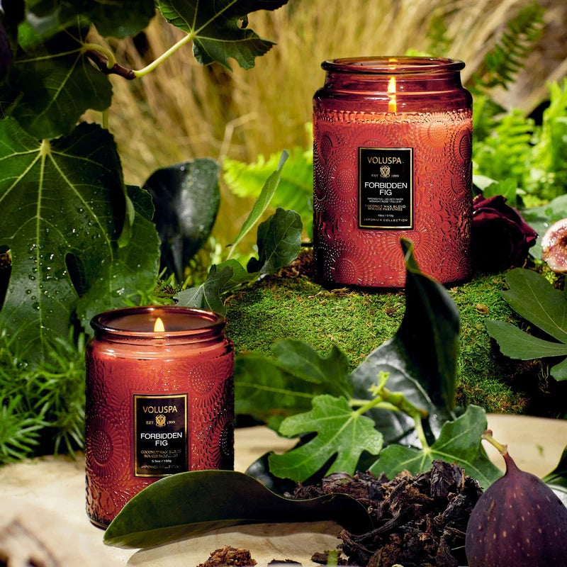 Voluspa Forbidden Fig, Candle