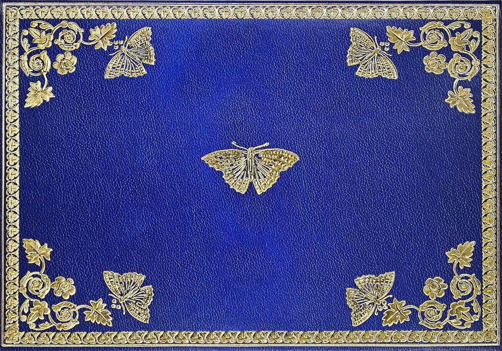 GILDED BUTTERFLIES NOTE CARDS
