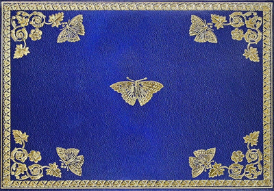 GILDED BUTTERFLIES NOTE CARDS