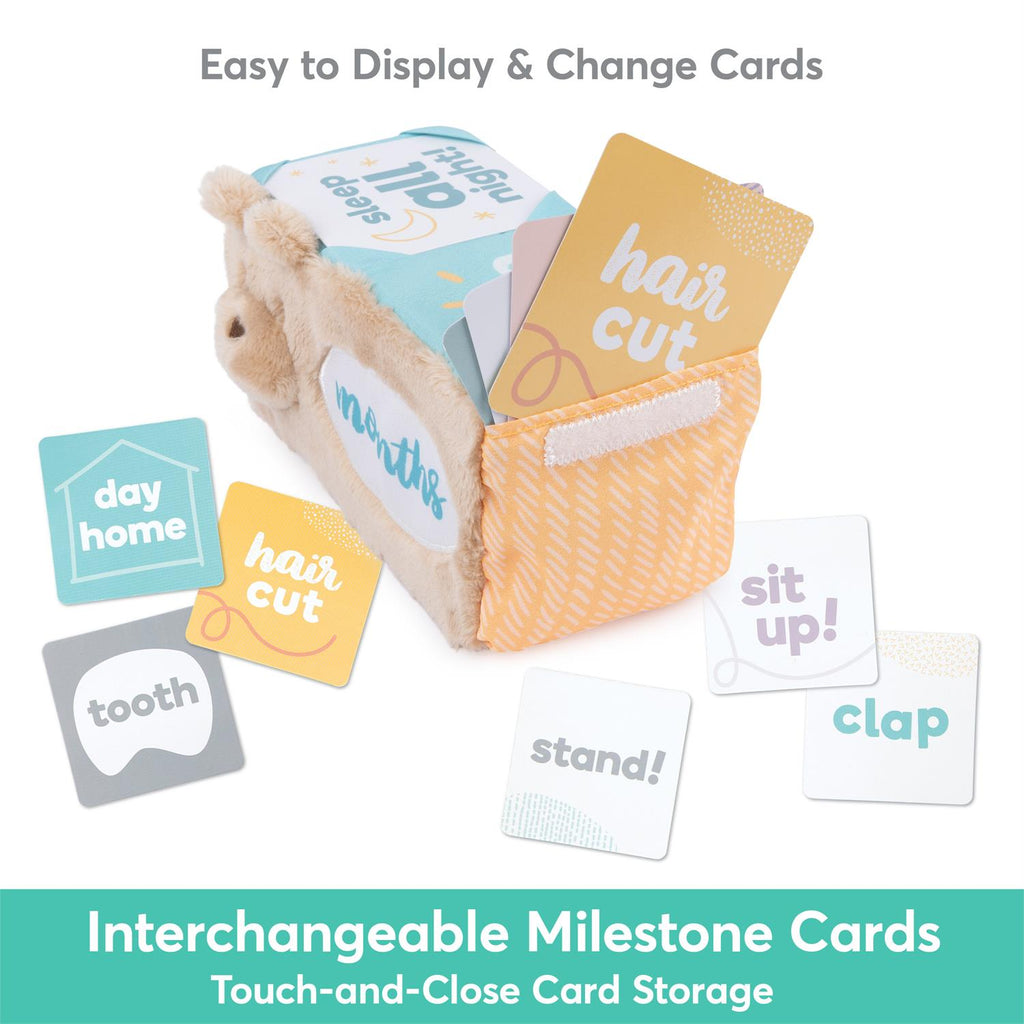 Milestones and Moments Block Set