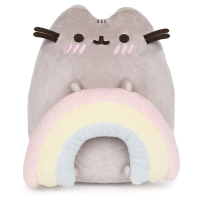 Pusheen with Rainbow 9.5