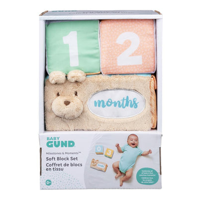 Milestones and Moments Block Set