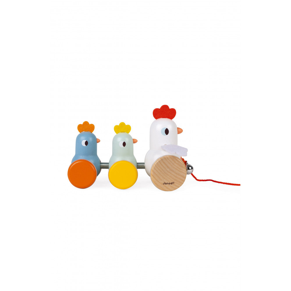PULL ALONG - HEN & CHICKS