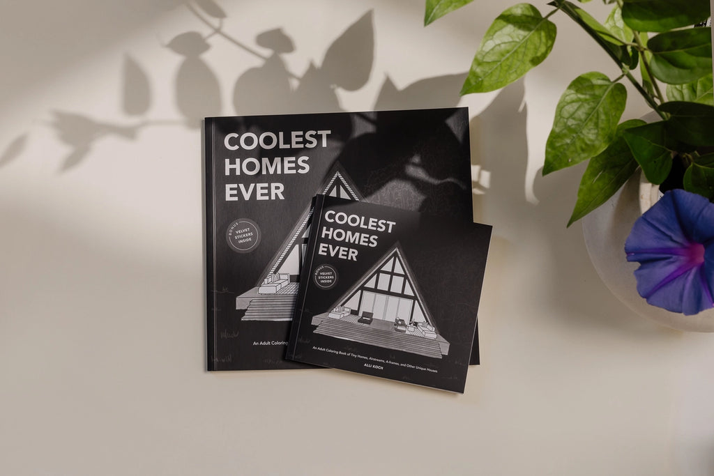 COOLEST HOMES EVER (MINI SIZE)
